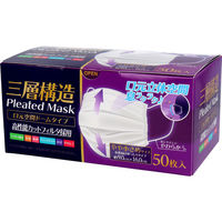 iiもの本舗 三層構造 口元空間ドーム型マスク 女性向けゆったりタイプ 50枚入 4589596693354 1セット(16個×50枚入)（直送品）