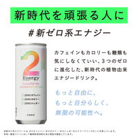 TWO 2Energy 250ml×30本 4589570801348 1セット(250ml×30本（直送品）
