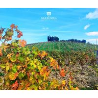 イタリア バルバネーラ パッソーネ・プリミティーヴォ 赤ワイン フルボディ 750ml 1本 光が丘興産