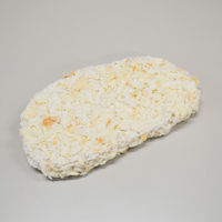 日東ベスト [冷凍] JG熟成三元豚ロースカツR(150) 750g 4902385007062 1個(750g)（直送品）