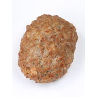 日東ベスト [冷凍] JGハンバーグロティールR120g×10個入×5袋 4902385007314 1セット(1200g×5個)（直送品）