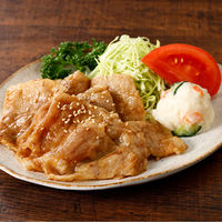 日東ベスト [冷凍] JGしょうが焼和豚もちぶたの素 110g×5個 4902385004160 1セット(110g×5個)（直送品）