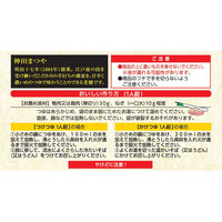 日清食品 [冷蔵] 老舗の逸品 神田まつや監修 鴨だしそばつゆ 2人前×2個 4548780537867 1セット(5個)（直送品）