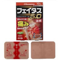 フェイタス 5.0温感 10枚 久光製薬 関節痛 筋肉痛 腰痛 腱鞘炎【第2類医薬品】