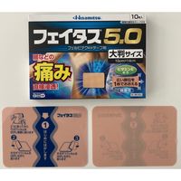 フェイタス 5.0大判サイズ10枚 久光製薬 関節痛 筋肉痛 腰痛 腱鞘炎【第2類医薬品】