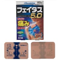 フェイタス 5.0 20枚 久光製薬 関節痛 筋肉痛 腰痛 腱鞘炎【第2類医薬品】