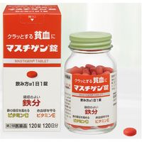 マスチゲン錠 120錠入（120日分）日本臓器製薬 貧血 鉄分配合【第2類医薬品】