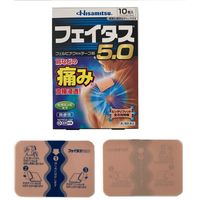 フェイタス 5.0 10枚 久光製薬 関節痛 筋肉痛 腰痛 腱鞘炎【第2類医薬品】