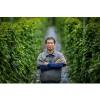 【アウトレット】おきなわの有機島こしょうパウダー20g 1個 ヒハツモドキ オーガニック 島酒家