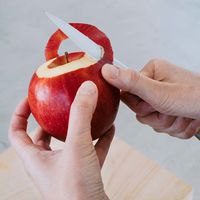 DEAN&DELUCA（ディーン&デルーカ） ペティナイフ ナチュラル 4956617248853 1個