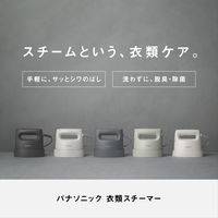 パナソニック 衣類スチーマー NI-FS60B-A 1台