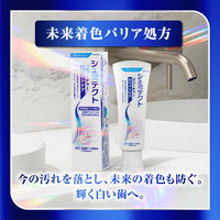 シュミテクト フューチャーホワイトケア〈1450ppm〉 80g Haleonジャパン 美白 歯磨き粉 虫歯予防