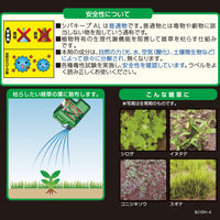 【除草剤】 レインボー薬品 シバキープAL　4L 1本（4L入）