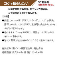 【除草剤】 レインボー薬品 コケとーる泡スプレー　400ml 1本（400ml入）