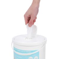 伊藤忠リーテイルリンク 顔も拭けるクールボディシート バケツタイプ　本体 IKー001 1個（120枚入）