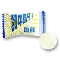 塩分対策 塩分補給 飴 キャンディ 塩飴 1kg 2袋  個包装 お配り栄光堂ファクトリー