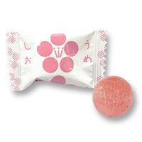 塩分対策 塩分補給 飴 キャンディ 梅塩飴 1kg 2袋  個包装 お配り栄光堂ファクトリー