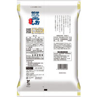 せんべい 煎餅 堅しお 10枚入  12袋  個包装 お配り金吾堂製菓