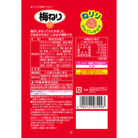 駄菓子 ねりり 梅ねり 20g 12袋  小袋 小分け 食べきりサイズ