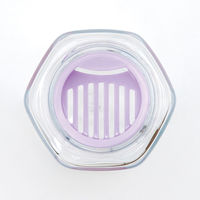 スケーター 六角ブローボトル250ｍｌ 水筒 クロミ花言葉 ＰＤＨ3 1個 サンリオ クリア 軽量