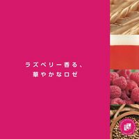 【数量限定】ビール ヒューガルデン ロゼ 330ml 缶 1ケース(24本)