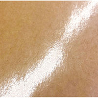 丸玉工業 ラミクラフトバッグ 小 90003600 1枚（直送品）