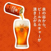 ビール SPRING VALLEY（スプリングバレー） 豊潤 496 350ml　1本 クラフトビール