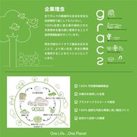 Gracz（グレース）バガス 仕切付プレート ナチュラル 1袋（50枚入）