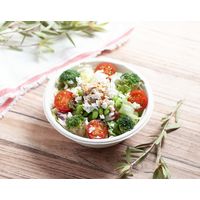 Gracz（グレース）バガス ボウル ナチュラル 500ml 1箱（1000枚：50枚入×20袋）