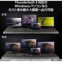 ドッキングステーション タイプC ハブ 14in1 Thunderbolt4対応 USBハブ DST-W13 エレコム 1個（直送品）