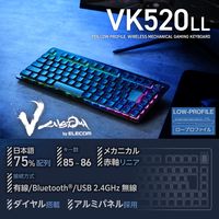 ゲーミングキーボード 有線 / 無線 / Bluetooth リニア 赤軸 ブラック TK-VK520LLBK エレコム 1個（直送品）