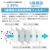 KAEI NIOSH N99防護マスク K0336 カップ型 1個(10枚入)（直送品）