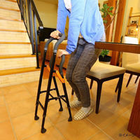 幸和製作所 手すりな杖 CAM04 歩行補助 支え 転倒防止 1台（直送品）