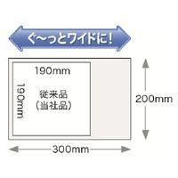 【おしりふき】ピジョンタヒラ やぶれにくいタイプのおしりふき 大判1005635 介護 からだふき 1005635 1個(40枚入（直送品）