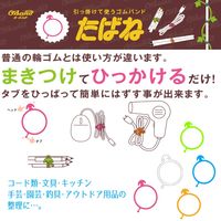 共和 オーバンド透明袋 たばねバンド #18x3 ミックス 50g GHCーNー52MX 1袋