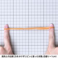 共和 オーバンド透明袋 500g　#410 GNAーNー006 1袋