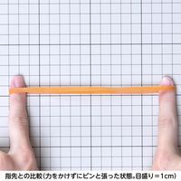 共和 オーバンド透明袋 500g　#415 GNAーNー007 1袋