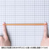 共和 オーバンド透明袋 500g　#565 GRAーNー015 1袋