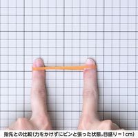 共和 オーバンド透明袋 500g　#210 GJAーNー006 1袋