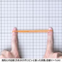 共和 オーバンド透明袋 500g　#310 GLAーNー006 1袋