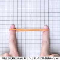 共和 オーバンド透明袋 500g　#260 GKAーNー006 1袋