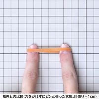 共和 オーバンド透明袋 50g　#175 GGAーNー014 1セット(3袋)