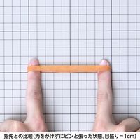 共和 オーバンド透明袋 500g　#270 GKAーNー008 1セット(3袋)