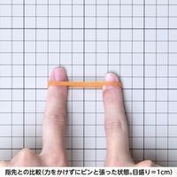 共和 オーバンド透明袋 500g　#170 GGAーNー006 1セット(3袋)