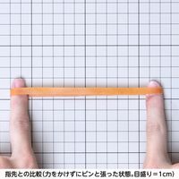 共和 オーバンド透明袋 500g　#370 GMAーNー008 1セット(3袋)