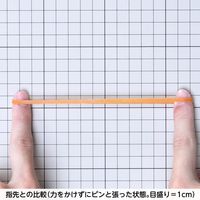 共和 オーバンド透明袋 500g　#360 GMAーNー006 1セット(3袋)