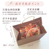 パックタケヤマ STカラーズ　グリーンティー XZT68307 1セット（1袋（10枚入）×4）