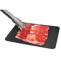 インターベース ハイスピード解凍プレート Lサイズ IB-274 1セット(2個)（直送品）