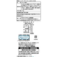 ポテトチップス スナック菓子 輸入菓子 フリトレー　レイズ　サワークリーム＆オニオン味 110g 3個