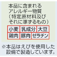 棒状 長浜ナンバーワン監修 長浜豚骨ラーメン 198g 1セット（1個×12） サンポー食品